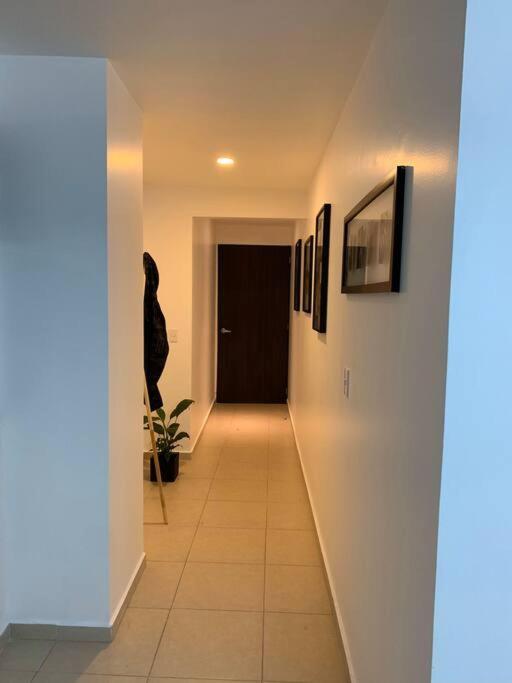 Apartament Zocalo,Cdmx Meksyk Zewnętrze zdjęcie